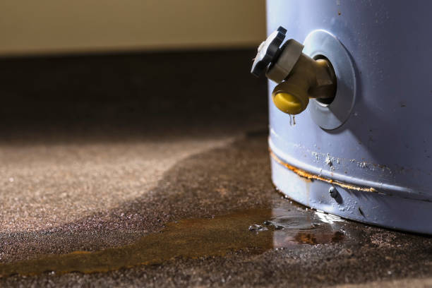 Water damage restoration experts in SC
