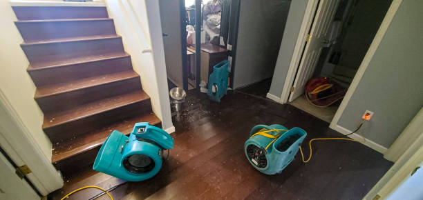Best Ceiling water damage repair  in Hardeeville, SC