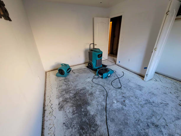 Best Residential water damage restoration  in Hardeeville, SC