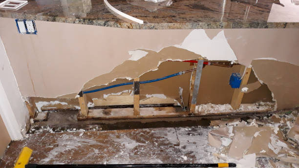 Best Mold removal after water damage  in Hardeeville, SC