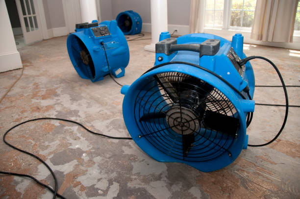 Best Local water damage restoration  in Hardeeville, SC