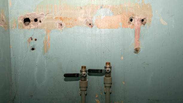 Best Emergency water damage restoration  in Hardeeville, SC