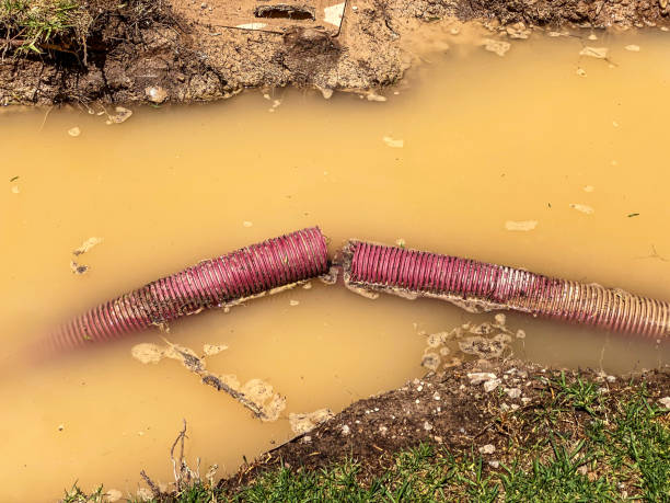 Best Sewage cleanup and water damage restoration  in Hardeeville, SC