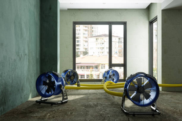 , SC Water damage restoration Company