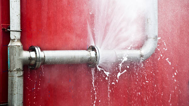 Best Water damage restoration near me  in Hardeeville, SC